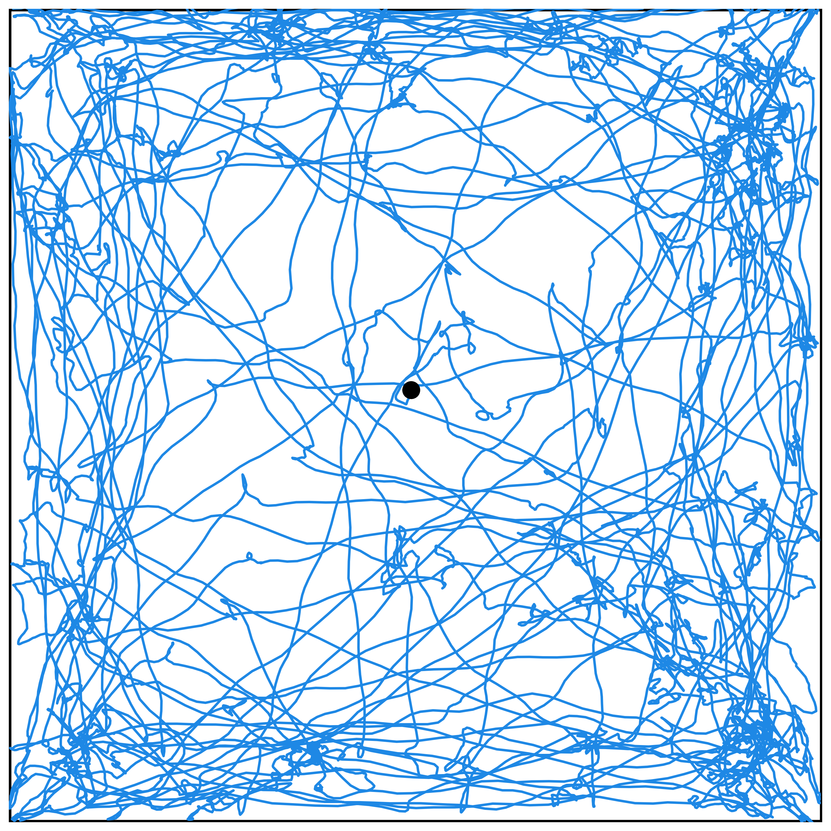 Baseline open-field trajectory in blue