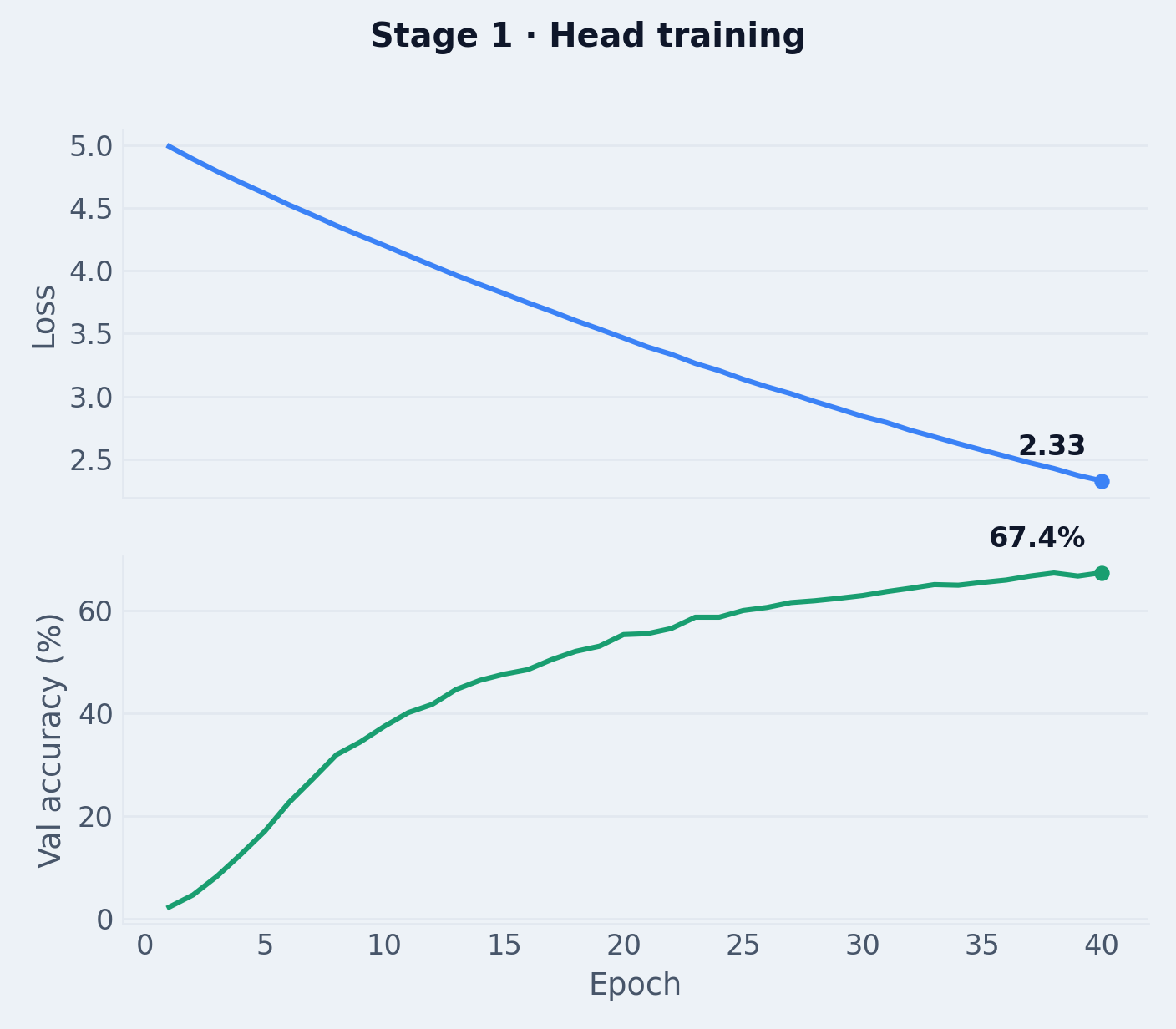 Stage 1 head training: loss falls from 4.99 to 2.33 while validation accuracy climbs from 2% to 67.4% over 40 epochs